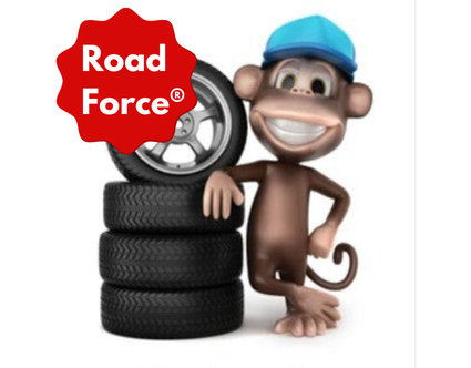 Road Force® MOUNT + BALANCE (CAR)