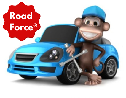 Road Force® DISMOUNT + MOUNT + BALANCE + INSTALL (Full Set)